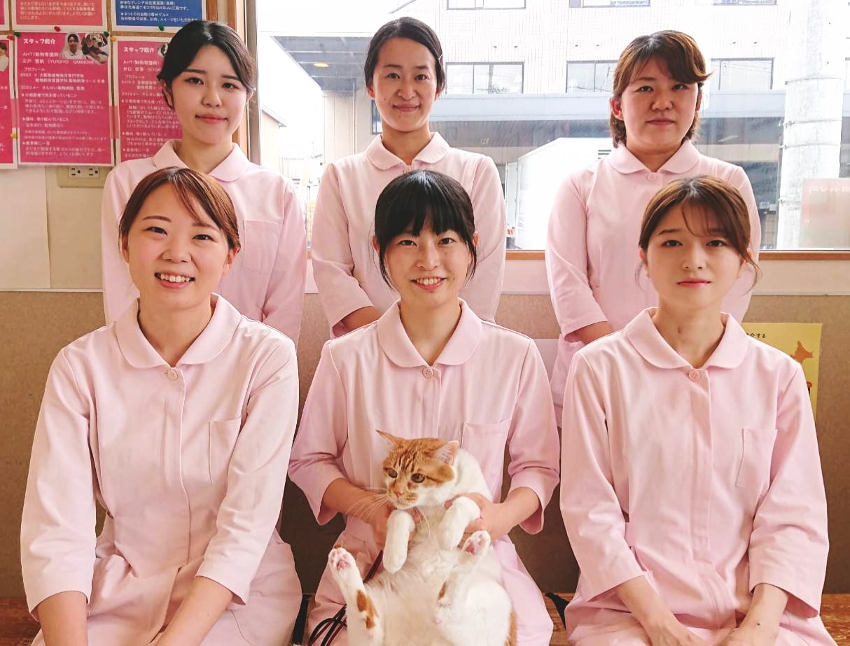 動物看護師