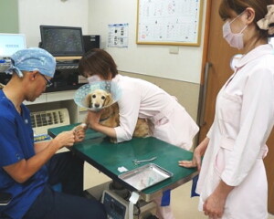 診察室